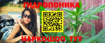 спайс Кулебаки